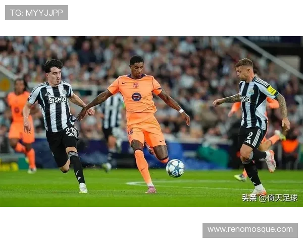 [德甲]第22轮：不来梅VS霍芬海姆.